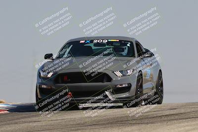 media/Jul-26-2025-Speed Ventures (Sat) [[fe569e6cf0]]/Green Group/Grapevine/
